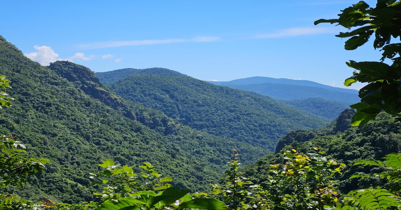 🌱 Green IT & Energy-Efficient Computing: Building a Sustainable Tech Future